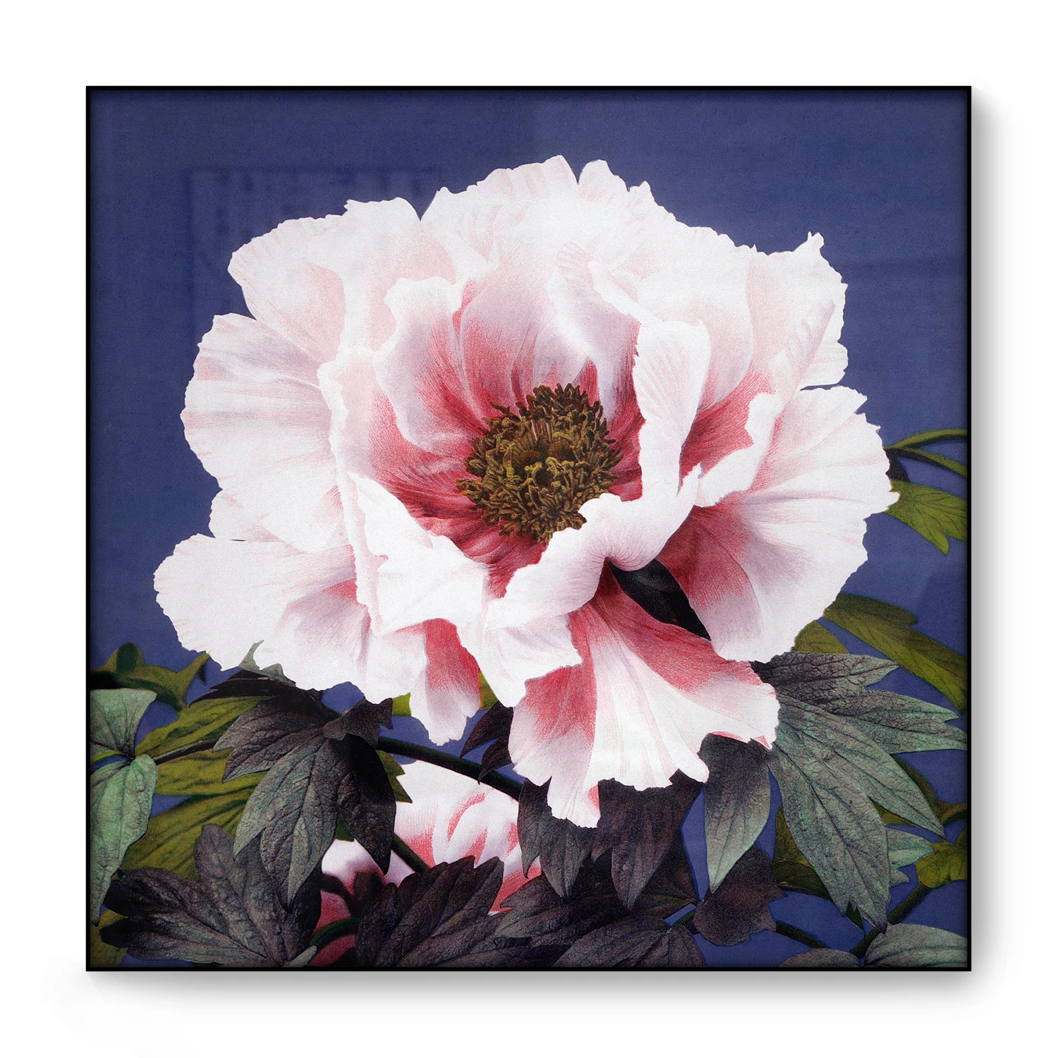 Detail Lukisan Bunga Peony Nomer 30