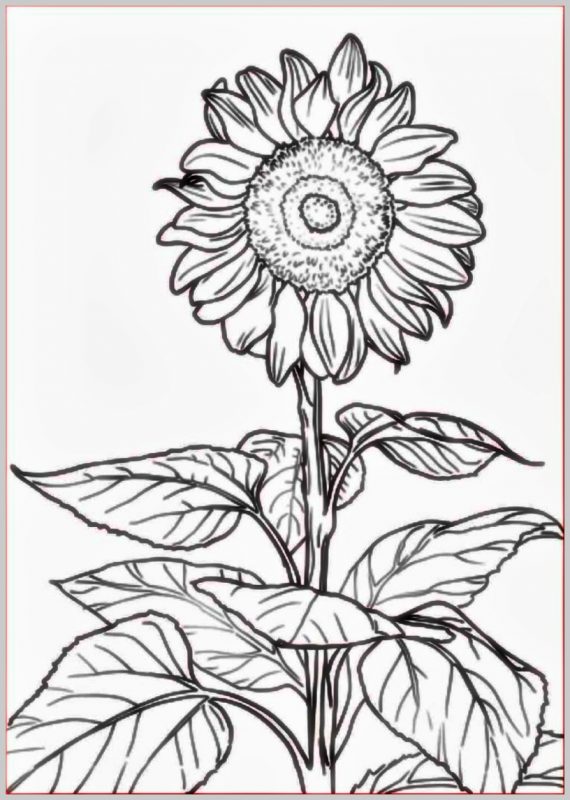 Detail Lukisan Bunga Simple Tapi Indah Nomer 16
