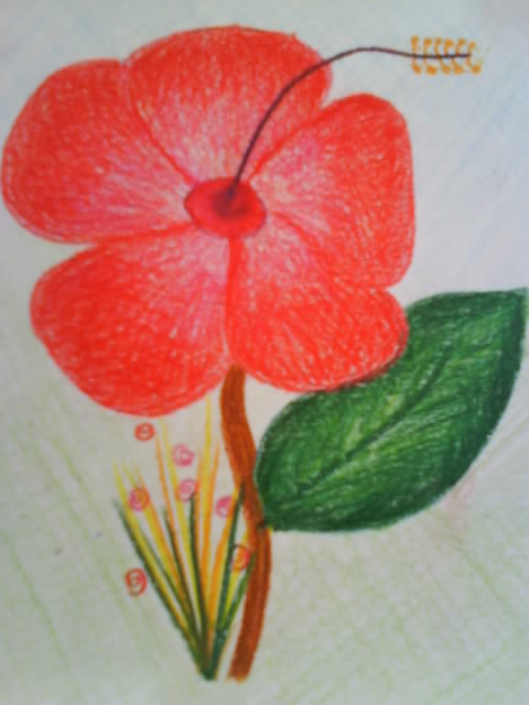Detail Lukisan Bunga Yang Mudah Dilukis Nomer 8