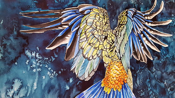 Detail Lukisan Burung Beo Nomer 34