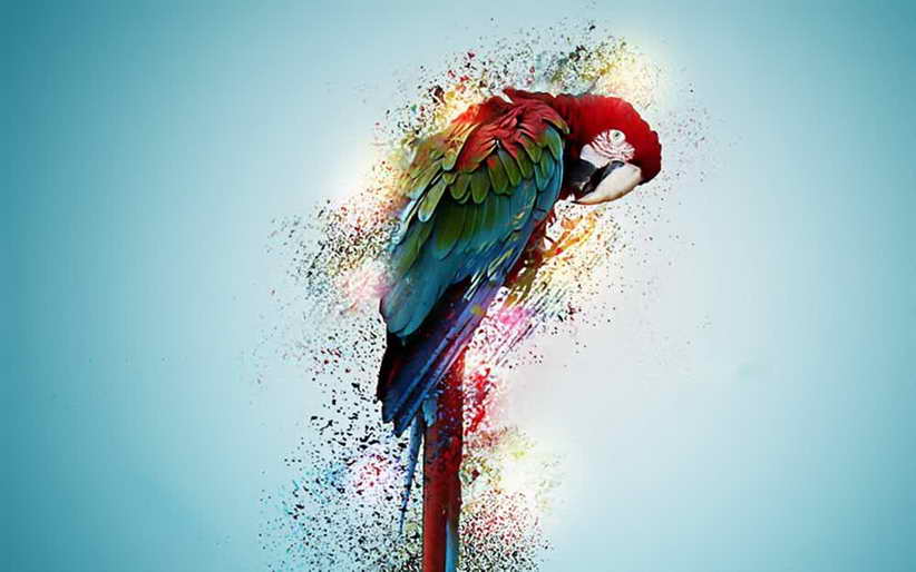 Detail Lukisan Burung Macaw Nomer 36