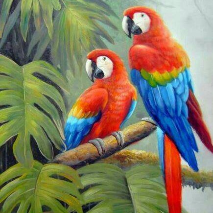 Detail Lukisan Burung Macaw Nomer 45