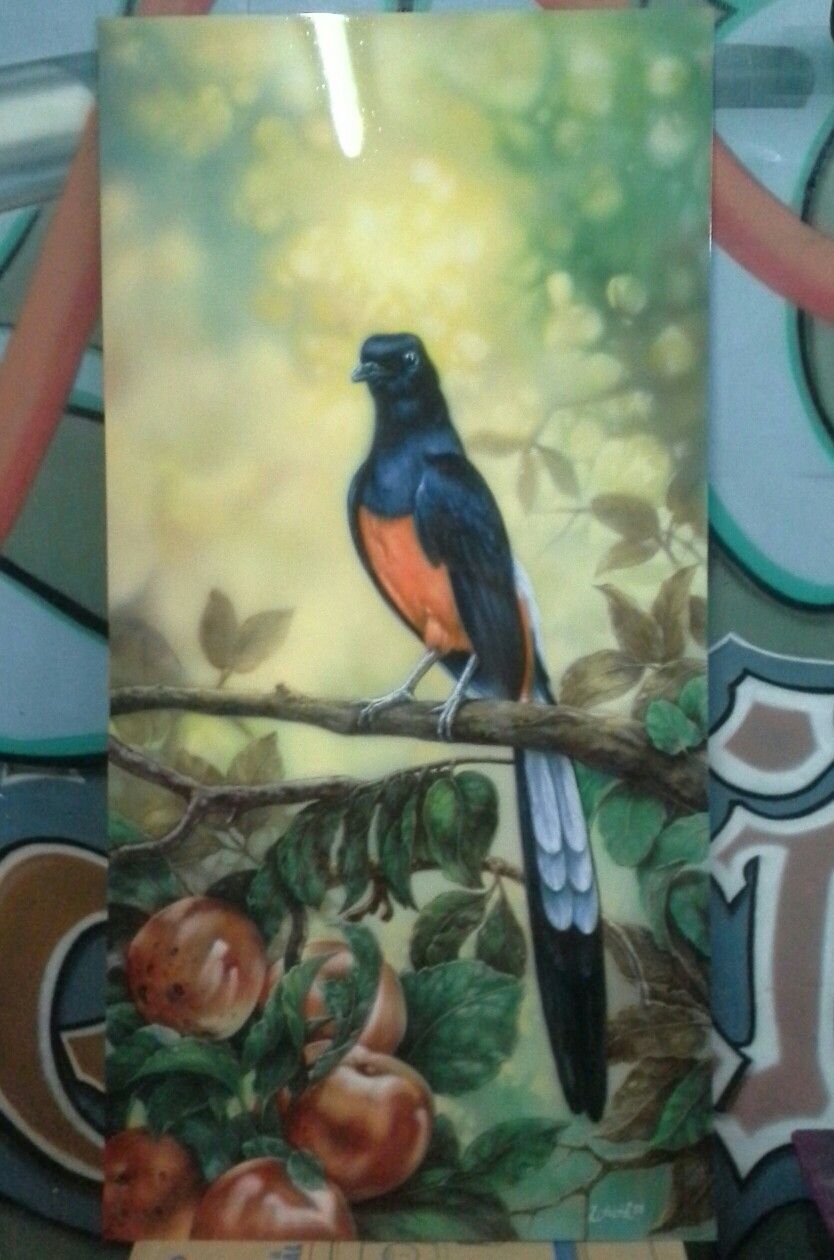 Detail Lukisan Burung Murai Nomer 18