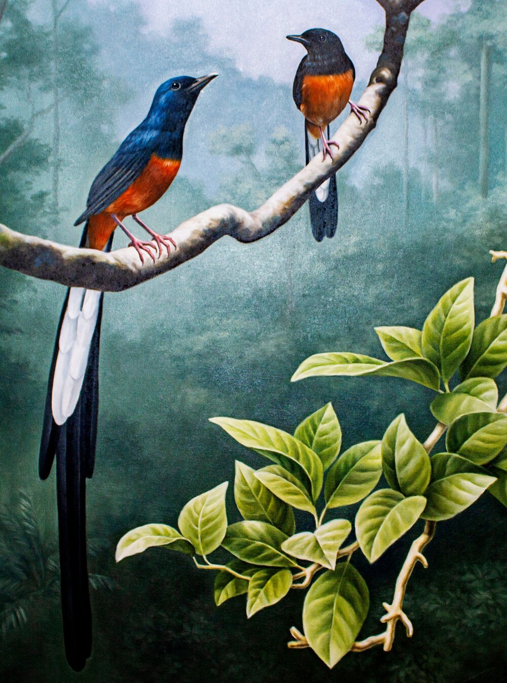 Detail Lukisan Burung Murai Nomer 30