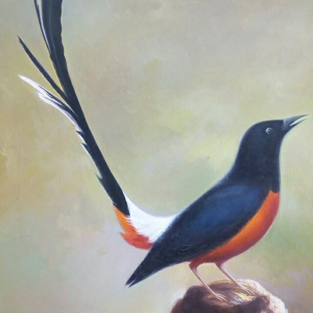 Detail Lukisan Burung Murai Nomer 5