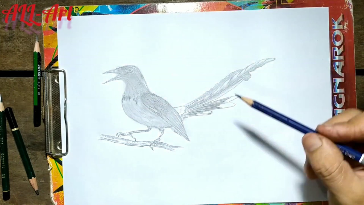 Detail Lukisan Burung Murai Nomer 38