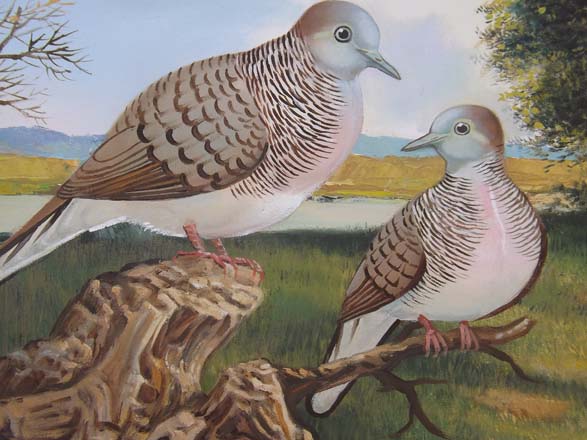 Detail Lukisan Burung Perkutut Nomer 10