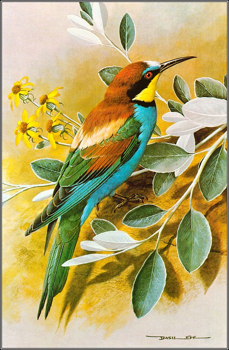 Detail Lukisan Flora Dan Fauna Simple Nomer 18