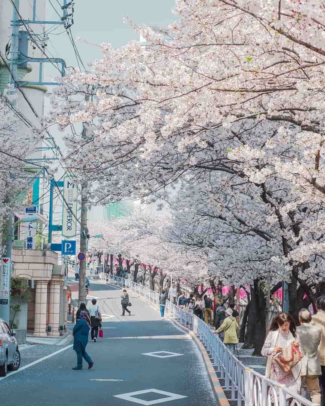 Detail Pemandangan Jepang Kota Nomer 38