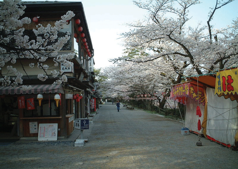 Detail Pemandangan Kota Jepang Nomer 12