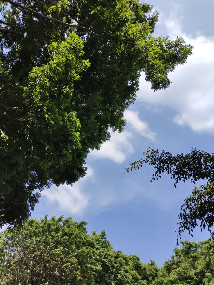Detail Pemandangan Langit Cerah Nomer 33