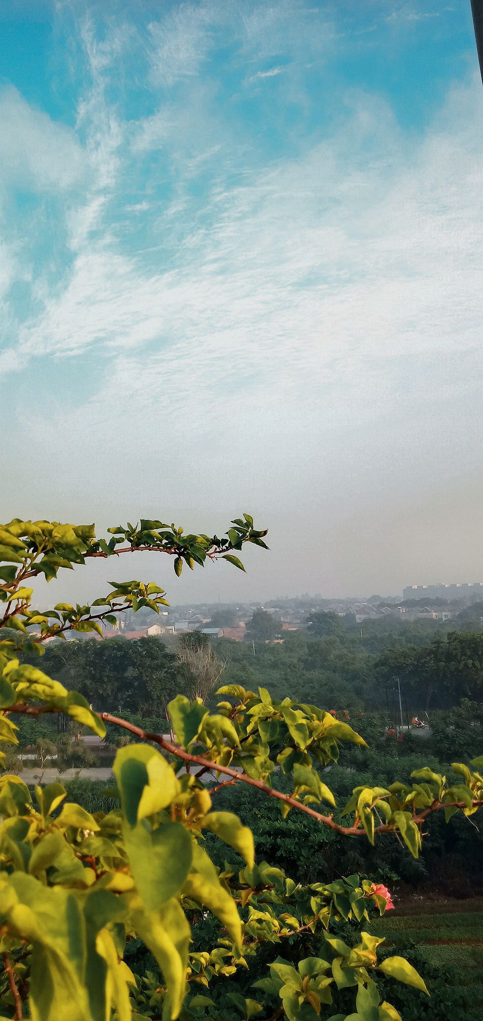 Detail Pemandangan Langit Cerah Nomer 9