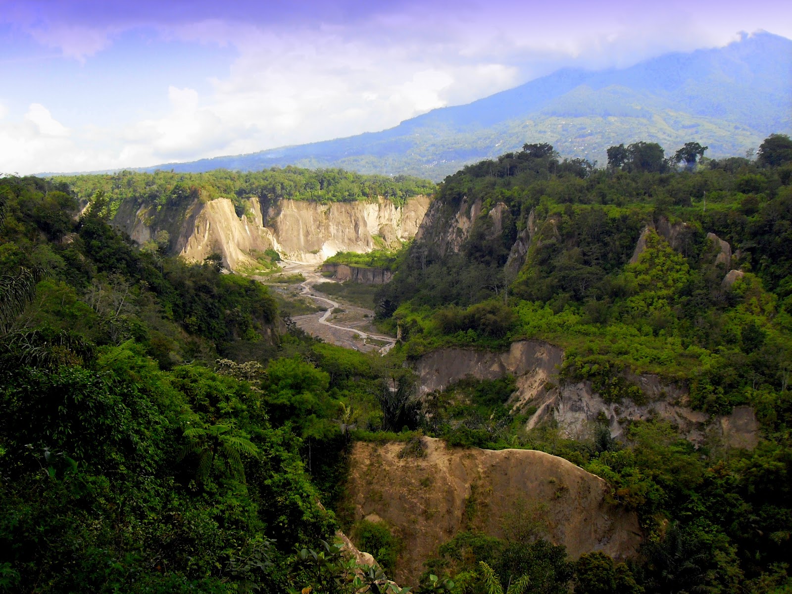 Detail Pemandangan Ngarai Sianok Nomer 8