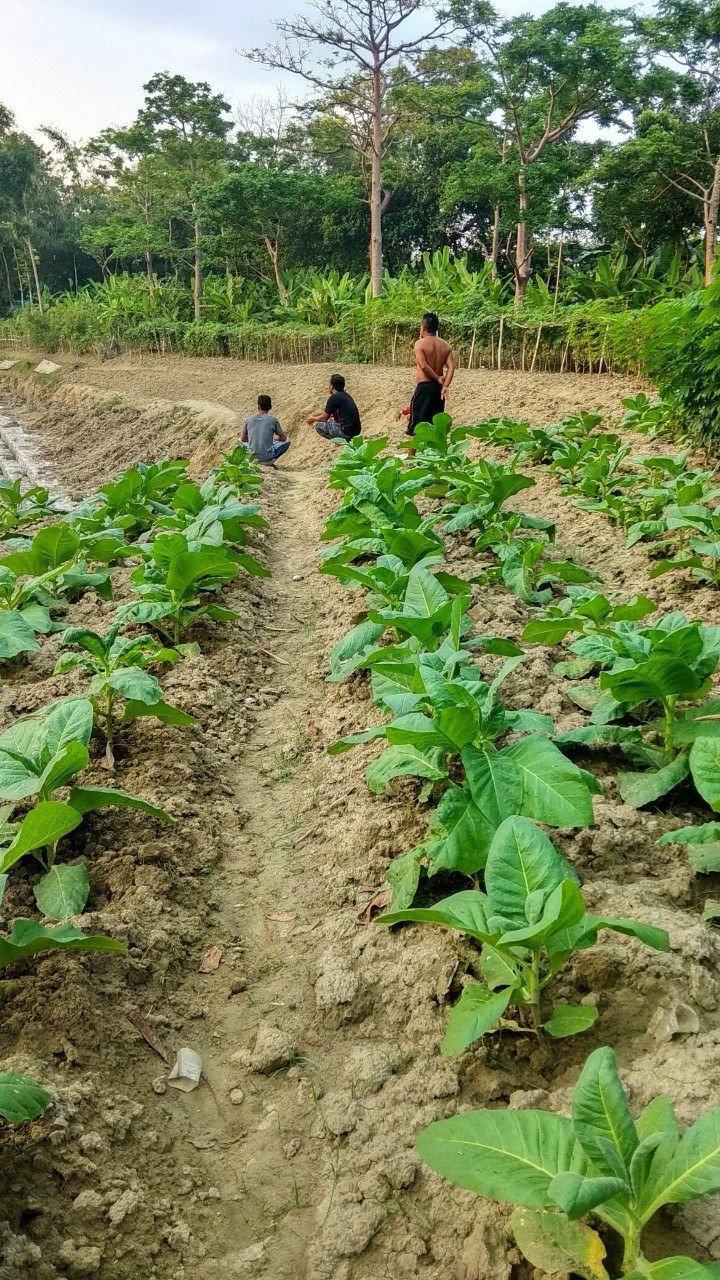 Detail Pemandangan Pagi Hari Yang Indah Nomer 55