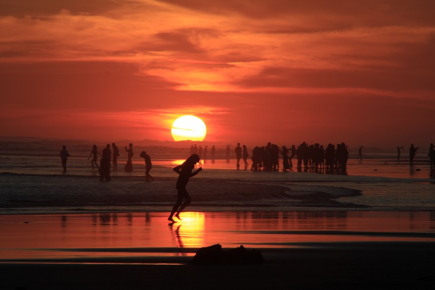 Detail Pemandangan Pantai Parangtritis Nomer 2