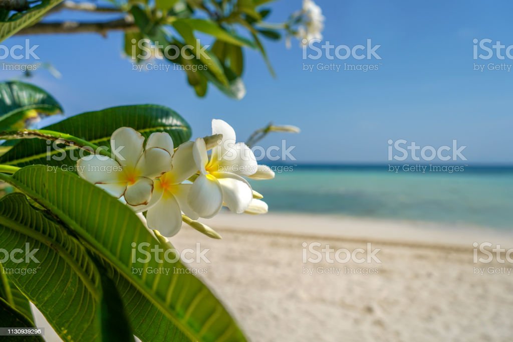 Detail Pemandangan Pantai Yang Indah Nomer 49