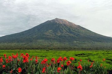 Detail Pemandangan Pedesaan Di Indonesia Nomer 22