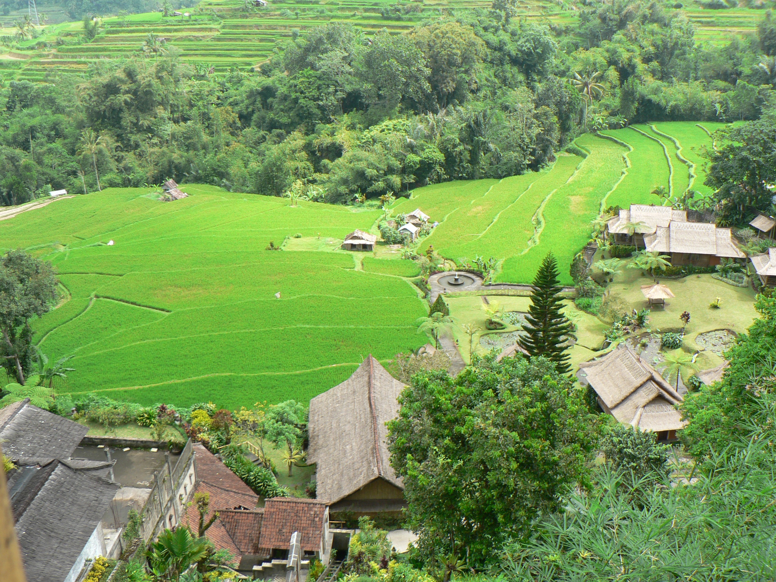 Detail Pemandangan Pedesaan Di Indonesia Nomer 31