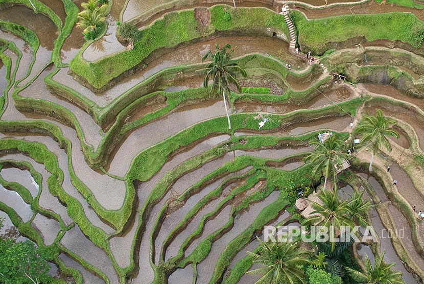 Detail Pemandangan Pedesaan Di Indonesia Nomer 46