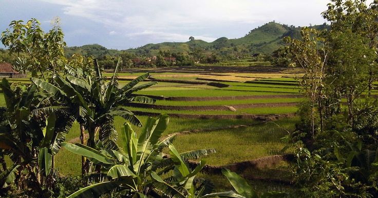 Detail Pemandangan Pedesaan Yang Indah Nomer 26