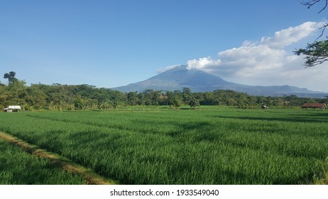 Detail Pemandangan Pegunungan Dan Sawah Nomer 50