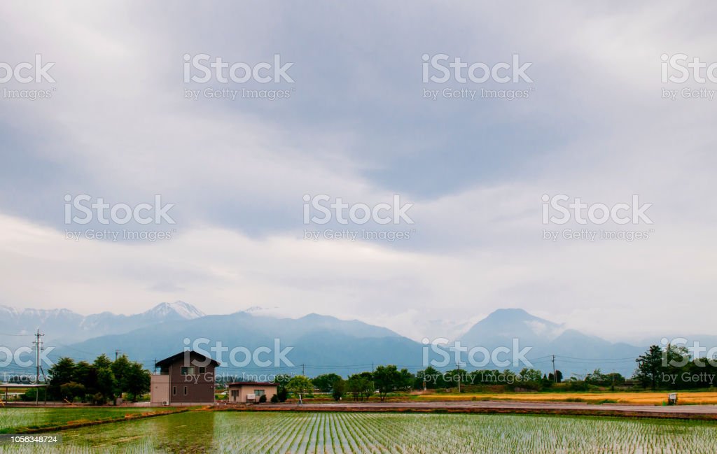 Detail Pemandangan Pegunungan Dan Sawah Nomer 54