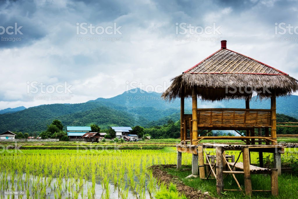 Detail Pemandangan Pegunungan Dan Sawah Nomer 8