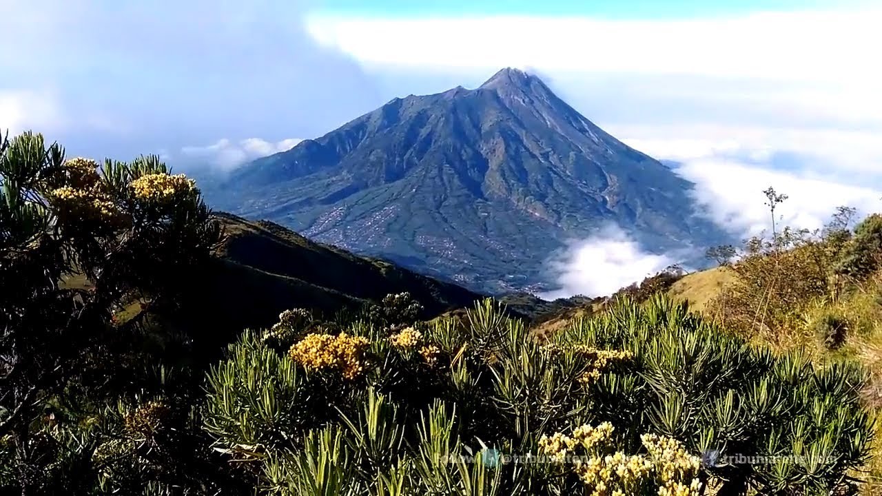 Detail Pemandangan Pegunungan Indah Nomer 52