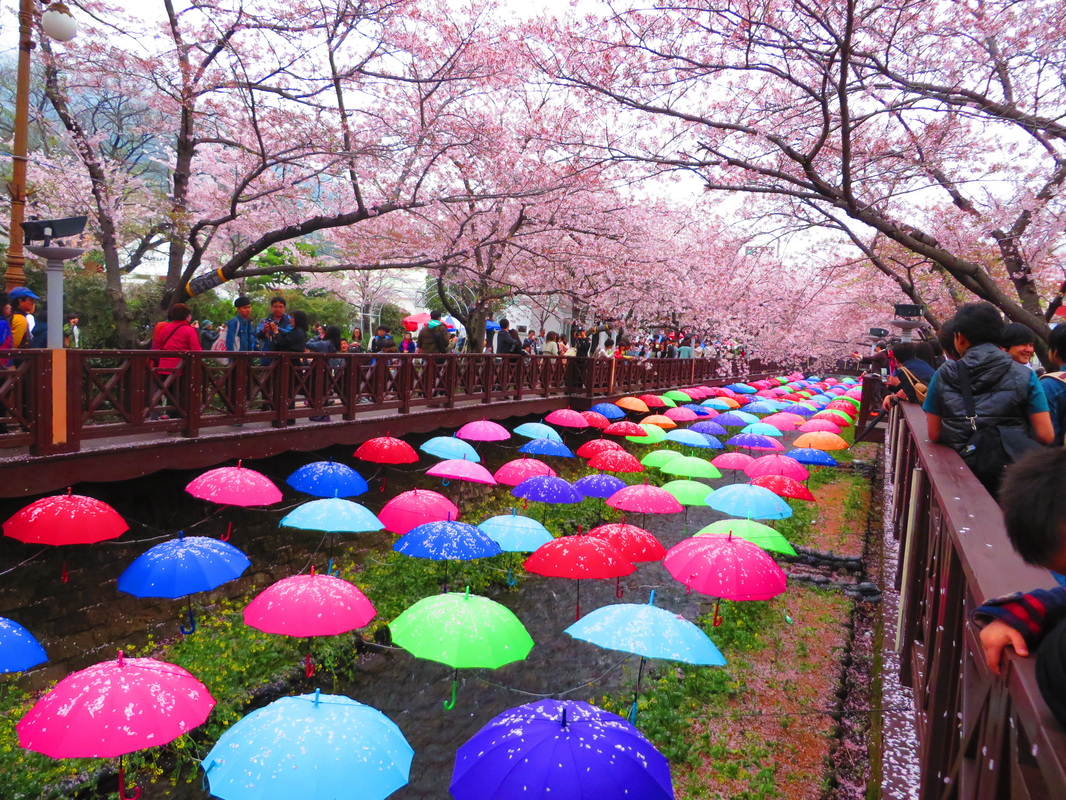 Detail Pemandangan Romantis Korea Nomer 14