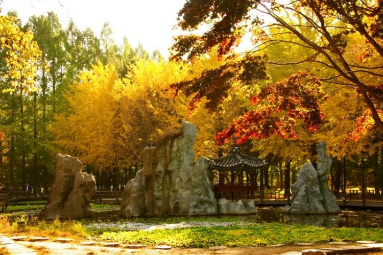 Detail Pemandangan Romantis Korea Nomer 28