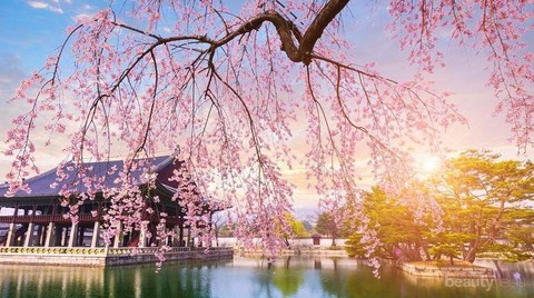 Detail Pemandangan Romantis Korea Nomer 29