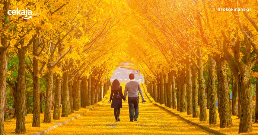 Detail Pemandangan Romantis Korea Nomer 5