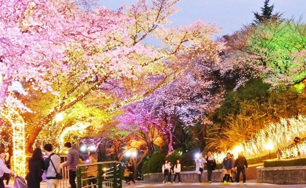 Detail Pemandangan Romantis Korea Nomer 41