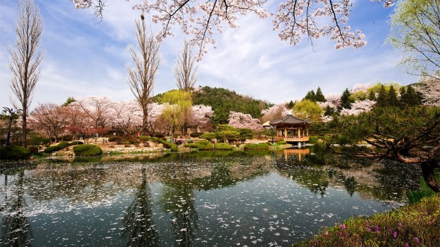 Detail Pemandangan Romantis Korea Nomer 42