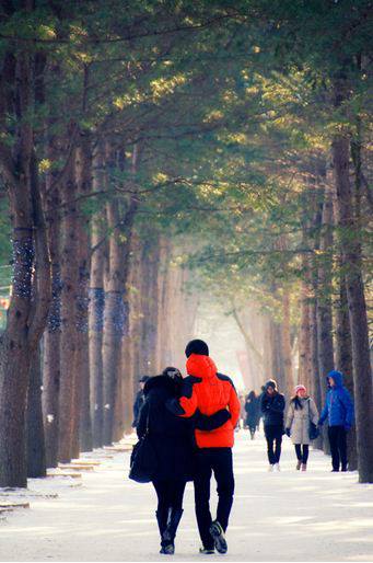 Detail Pemandangan Romantis Korea Nomer 49