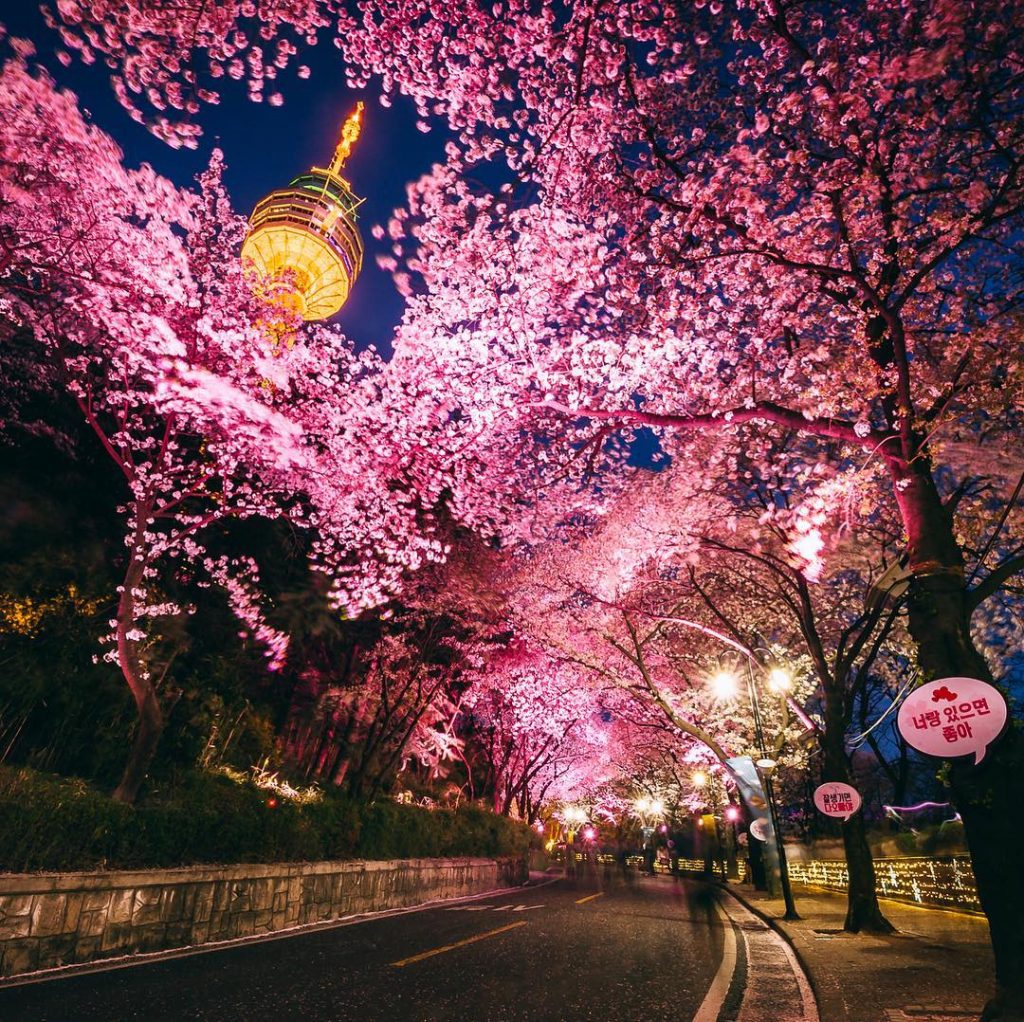 Detail Pemandangan Romantis Korea Nomer 7