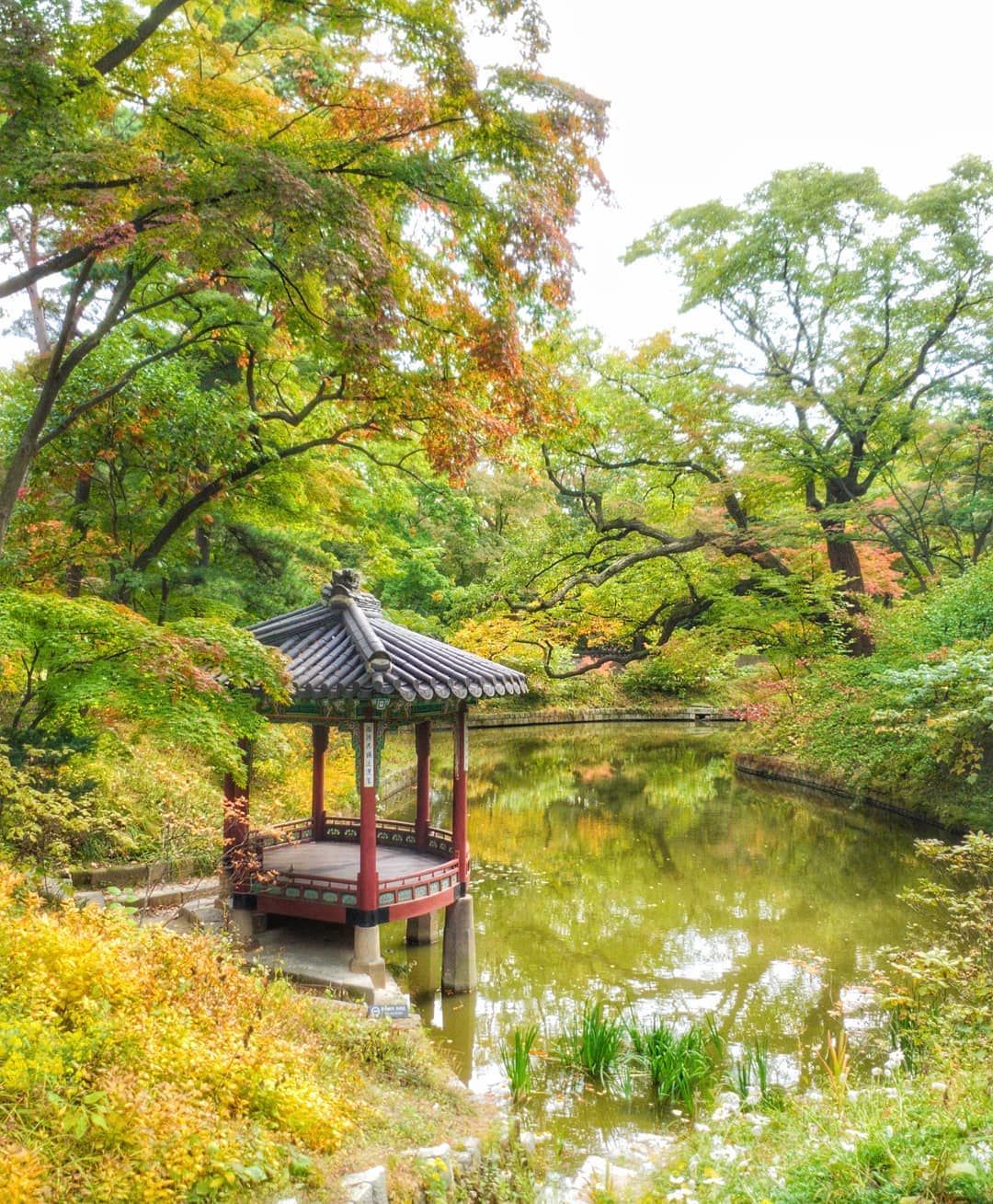 Detail Pemandangan Romantis Korea Nomer 9