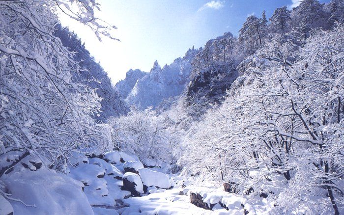 Detail Pemandangan Salju Di Korea Nomer 22