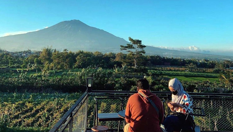 Detail Pemandangan Sawah Dan Gunung Nomer 39