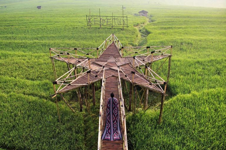 Detail Pemandangan Sawah Indah Nomer 30