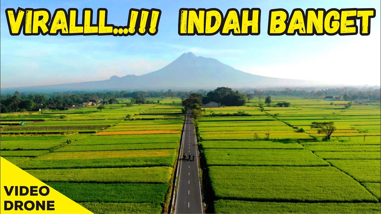 Detail Pemandangan Sawah Indah Nomer 33