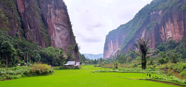 Detail Pemandangan Sawah Terindah Di Dunia Nomer 24