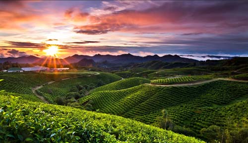 Detail Pemandangan Sulawesi Selatan Nomer 4