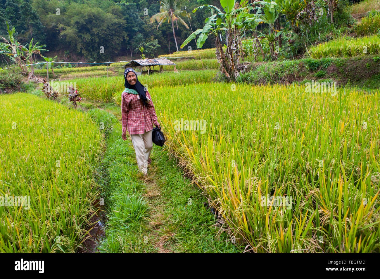 Detail Pemandangan Sunda Nomer 57