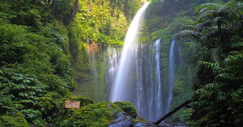 Detail Pemandangan Tebing Air Terjun Nomer 52