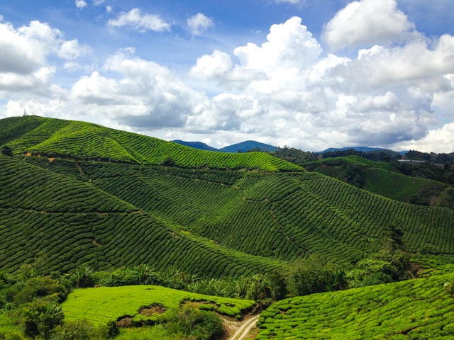 Detail Pemandangan Tercantik Di Malaysia Nomer 10