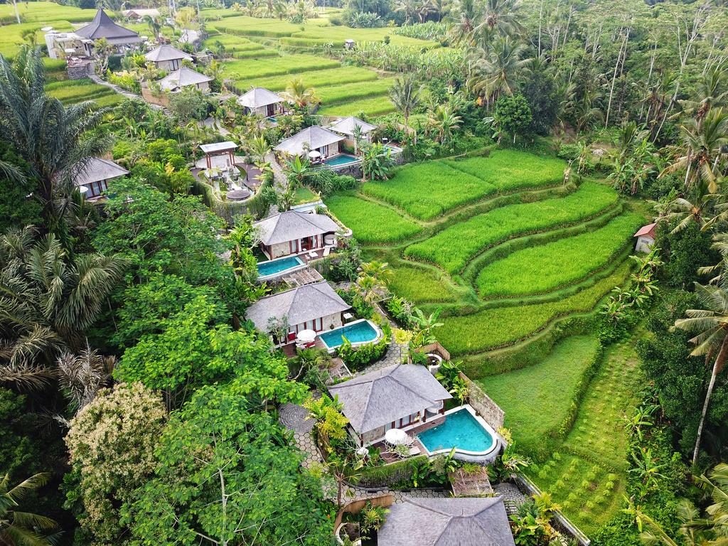 Detail Pemandangan Ubud Bali Nomer 33