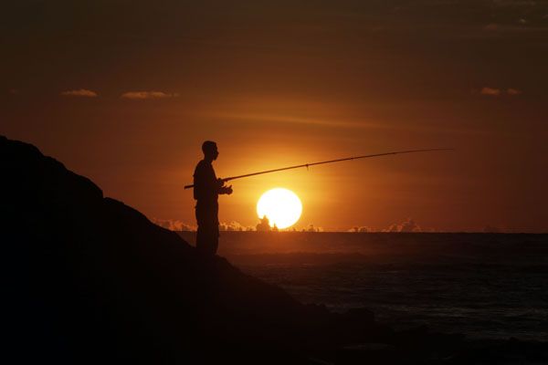 Detail Pemandangan Waktu Senja Nomer 32