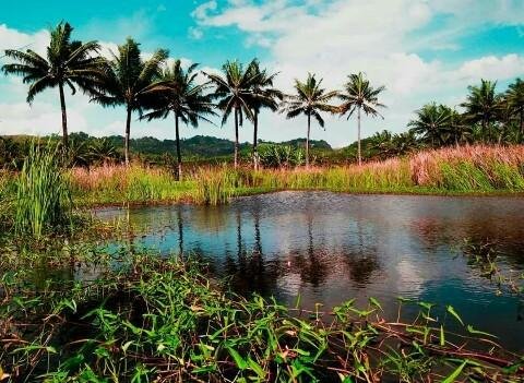 Detail Pemandangan Yg Indah Sekali Nomer 26