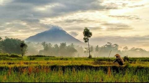 Detail Pemandangan Yg Indah Sekali Nomer 58